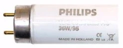 Philips Fluorescent Light Bulb (36099) 7 Philips Fluorescent Light Bulb (36099) -Light Bulbs Sales 36099Bulbmd