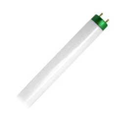 Philips Fluorescent Light Bulb (280958) -Light Bulbs Sales 381329amd
