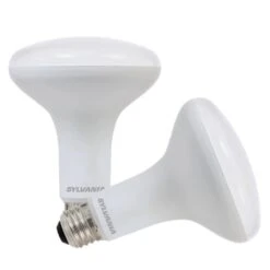 Sylvania LED Reflector Flood Retrofit (2 Pack) (41067)