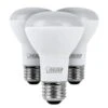 Feit Electric LED Light Bulb (3 Pack) (42543)
