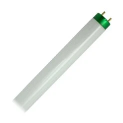 Philips Fluorescent Light Bulb (280818)