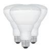 Feit Electric LED Light Bulb (3 Pack) (43722) -Light Bulbs Sales 43599lg 1