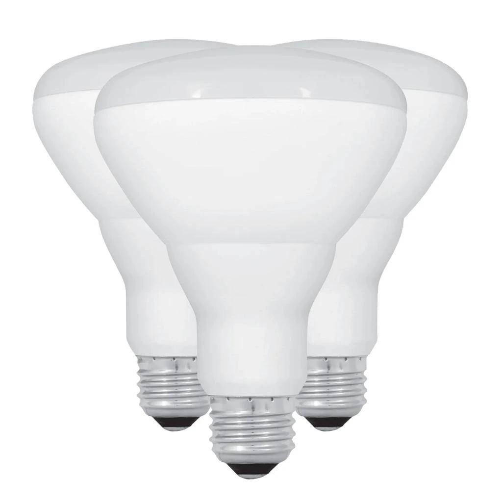 Feit Electric LED Light Bulb (3 Pack) (43599) 3 Feit Electric LED Light Bulb (3 Pack) (43599)