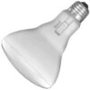 Feit Electric LED Reflector Flood Retrofit (2 Pack) (43736) -Light Bulbs Sales 43736lg