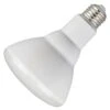 Westinghouse LED Reflector Flood Retrofit (45148)