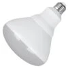 Feit Electric LED Reflector Light Bulb (45936)