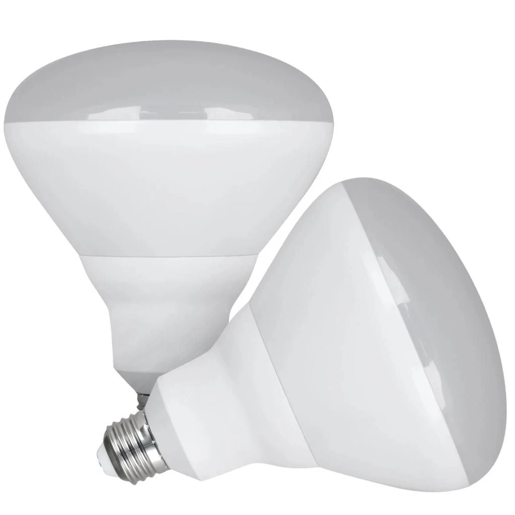 Feit Electric LED Light Bulb (2 Pack) (45942) 3 Feit Electric LED Light Bulb (2 Pack) (45942)
