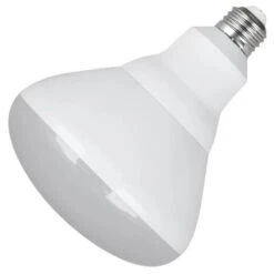 Feit Electric LED Light Bulb (45939) -Light Bulbs Sales 45939md