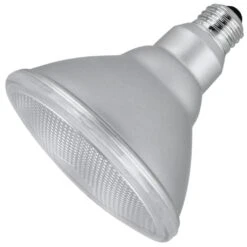 Feit Electric LED Light Bulb (54316)