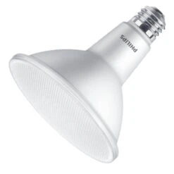 Philips LED Light Bulb (546937)