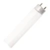 Damar Fluorescent Light Bulb (56180) -Light Bulbs Sales 56180lg