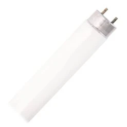 Damar Fluorescent Light Bulb (56180)