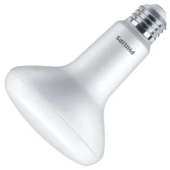 Philips LED Light Bulb (571471)