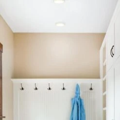 Westinghouse LED Ceiling Light Fixture (611209) -Light Bulbs Sales 611209coatrackmd