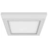 Nuvo Lighting LED Ceiling Light Fixture (62498) -Light Bulbs Sales 62498lg