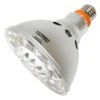 Litetronics LED Reflector Spot Light Bulb (67490) -Light Bulbs Sales 67490lg