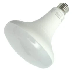 Sylvania LED Reflector Flood Retrofit (40458)