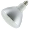 Sunlite LED Reflector Flood Retrofit (88066) -Light Bulbs Sales 88066lg