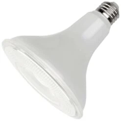 Maxlite LED Flood Light Bulb (96132)