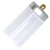 Sylvania Fluorescent Light Bulb (24830) -Light Bulbs Sales T12Slimlg 5