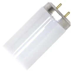 Philips Fluorescent Light Bulb (163105)