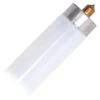 Sylvania Fluorescent Light Bulb (22148) -Light Bulbs Sales T8Slimlg