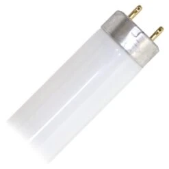 Sylvania Fluorescent Light Bulb (21420)
